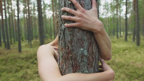 Coeur Brisé 💔 Musique Douce pour Surmonter la Rupture 🌧️ Chanson Mélancolique