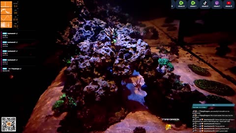 24/7 Real Live Reef Stream