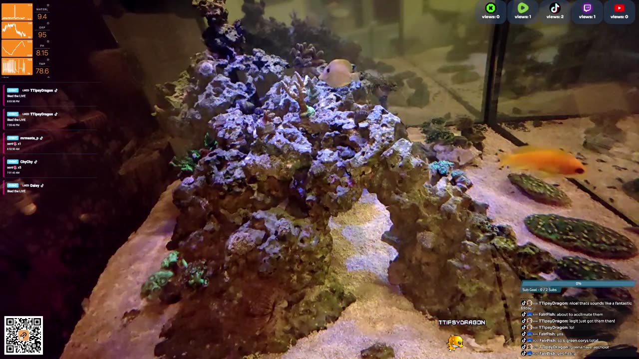 24/7 Real Live Reef Stream