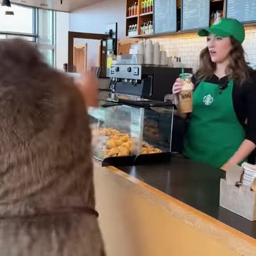 caveman gets misgendered at Starbucks