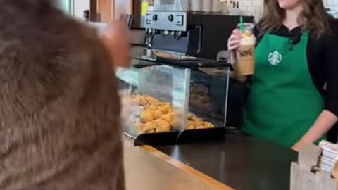 caveman gets misgendered at Starbucks