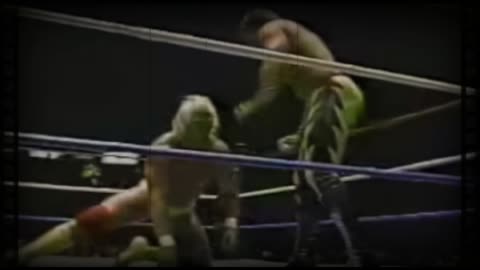 Brutus beefcake-He Went from Main Event to Destroyed