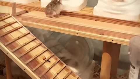 👍✨ This Simple 9-Second Trick Will Transform Your Cleaning Routine! | LifeHacksDaily