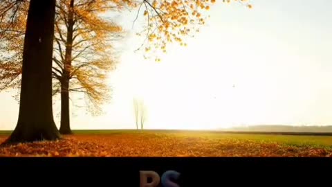 "When Life Feels Empty… Remember This Japanese Wisdom 🌸