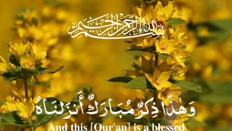 🔥Surah Al-Anbiyā 21:49–50 — سورة الأنبياء⚡📖✨#Quran #Quran #shorts #love #Viral #YouTubeShorts #short