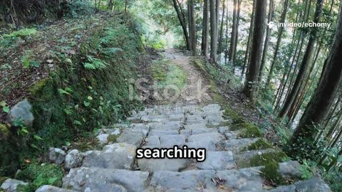 Kumano Kodo Pilgrimage: Spiritual Journey Video #travel #explore #history #kumanokodo