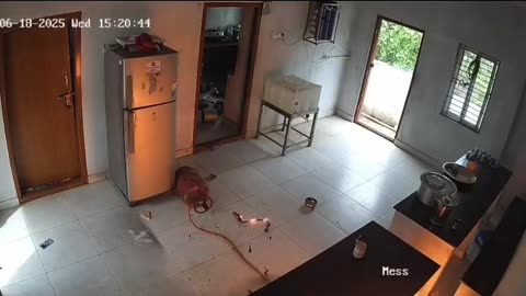 If they didn't leave the doors and windows open they would be toast.