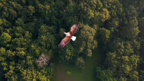 Power of Nature in a Single Moment | Shorts