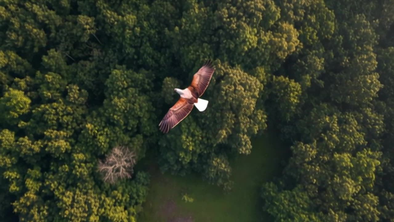 Power of Nature in a Single Moment | Shorts