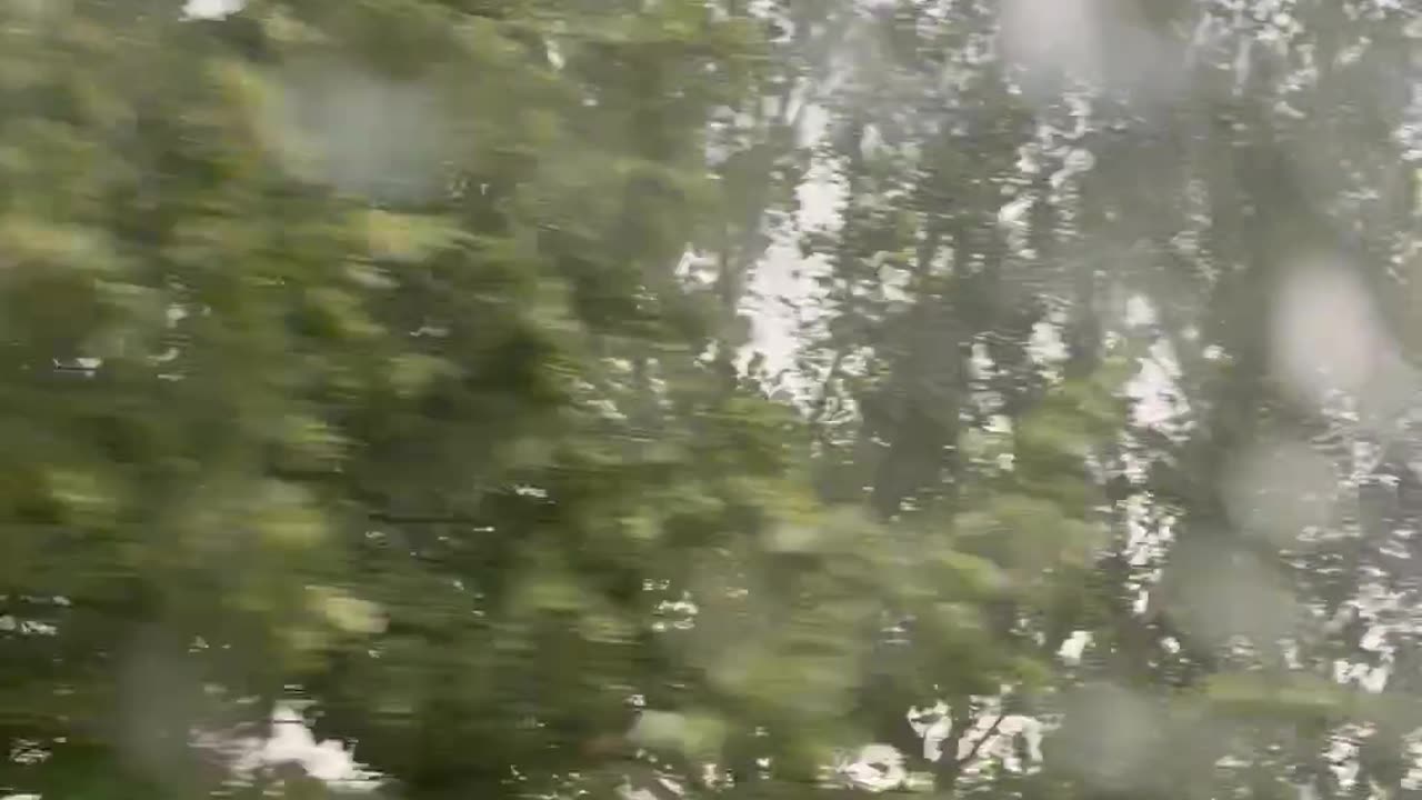 Storm Winds Spark Tree Branch On Electrical Wire