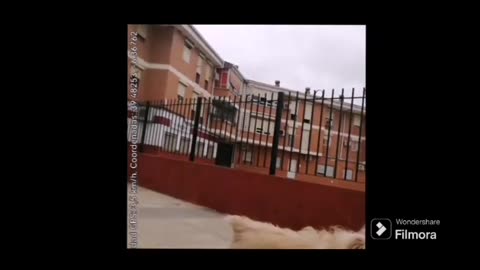 Aparece en mi barrio el jovenlandés que me intentó agredir con las llaves hace un año