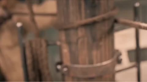 Longling Mystery Grotto (2025)😍❤️(Part-17)#reels #viralreels #reel #LonglingMysteryGrotto #viralreel