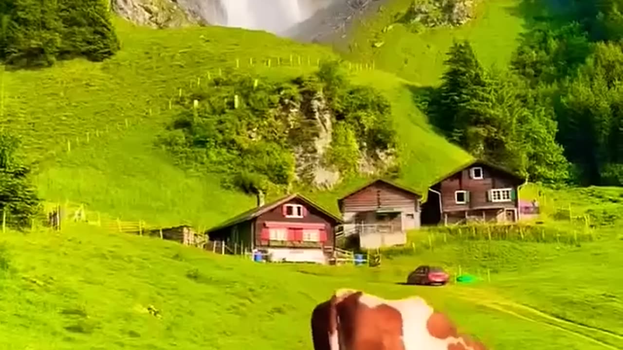 meautiost bful place