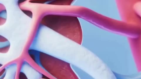 Ureteric Stone Removal in Madurai | Advanced Laser & Endoscopic Surgery