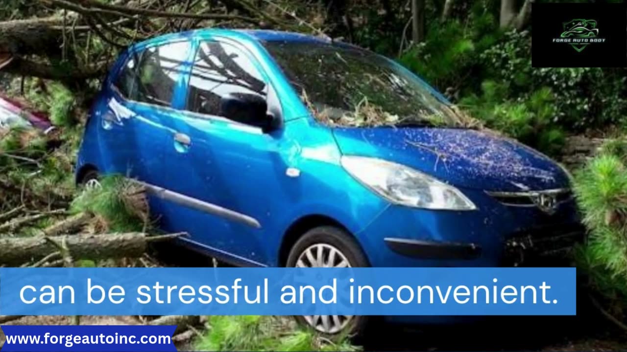 Professional Solutions for a Crack in Windshield | Forge Auto Body Shop