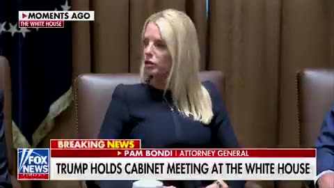 Attorney General Pam Bondi Department of Justice will take legal action against fraud cases