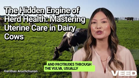 Master Uterine Care for Healthy Cows