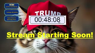 Texas Democrat Updates & More.