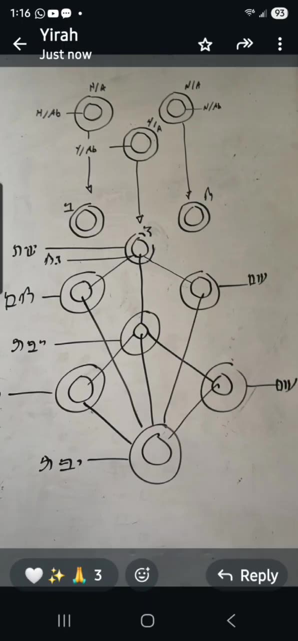 NOON ZOHAR 👉🏽 YIRAH HA'ARI ✨️👑 UR OF THE CHALDEANS. (LECH LECHA 4)