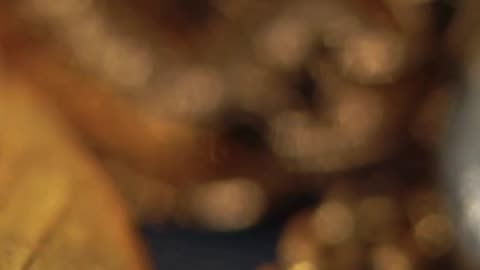 आज की 20 बड़ी खबरें | Today Breaking News | Hindi News Reels