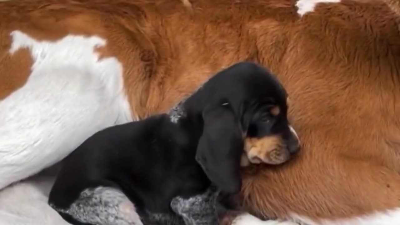 Best friends.. 😊