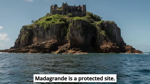 Inside Snake Island: The Most Dangerous Place on Earth
