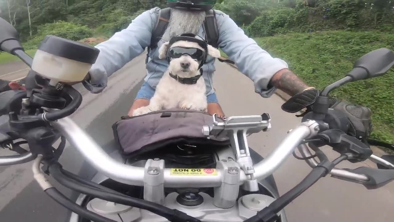 Jonty (K9) Nine - see you on the road