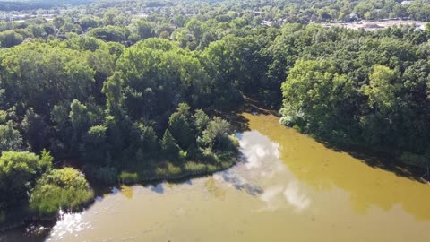 Neighborhood Pond from a Drone