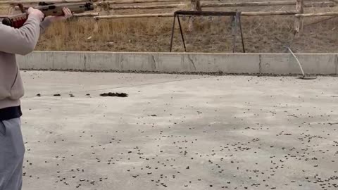 See the Beretta 1301 in action!