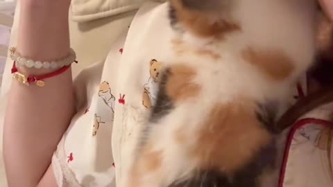 Ahhh, feeling all warm on my face in the middle of the night, turns out it's the kitten.