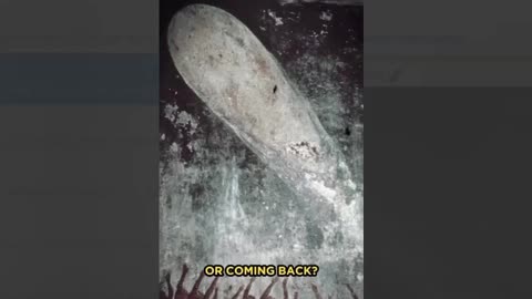 Reset2024-AI3 leci jak zloto.