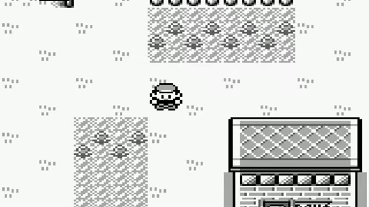 Pokémon Red pt 1: the grey is distracting
