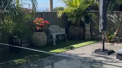 Future of Beauty 😍✨🔥