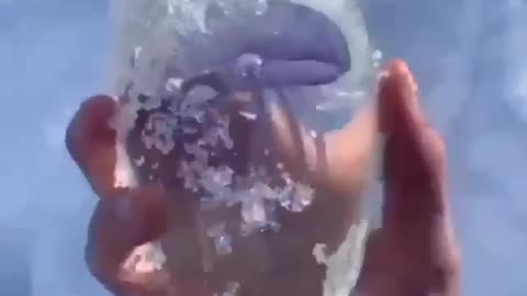 cryctal