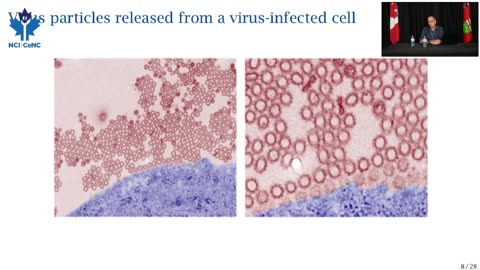 Why No mRNA Vaccine Will Ever Be Safe For Children - Dr Michael Palmer
