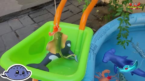 Dolphins Playing Ball in Yellow Bucket with Seals