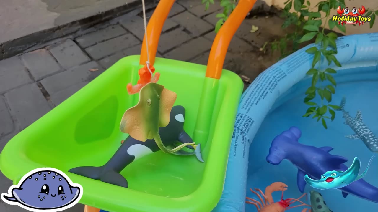 Dolphins Playing Ball in Yellow Bucket with Seals