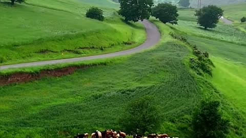 Khoda Afarin County