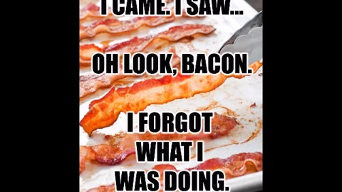 FUNNY Laugh Out Loud Hilarious BACON Memes Jokes Cartoons SPECIAL!