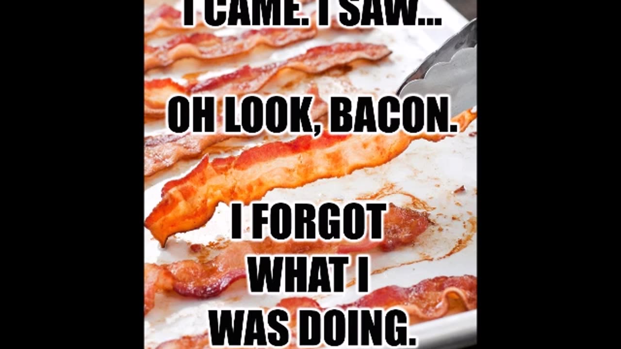 FUNNY Laugh Out Loud Hilarious BACON Memes Jokes Cartoons SPECIAL!