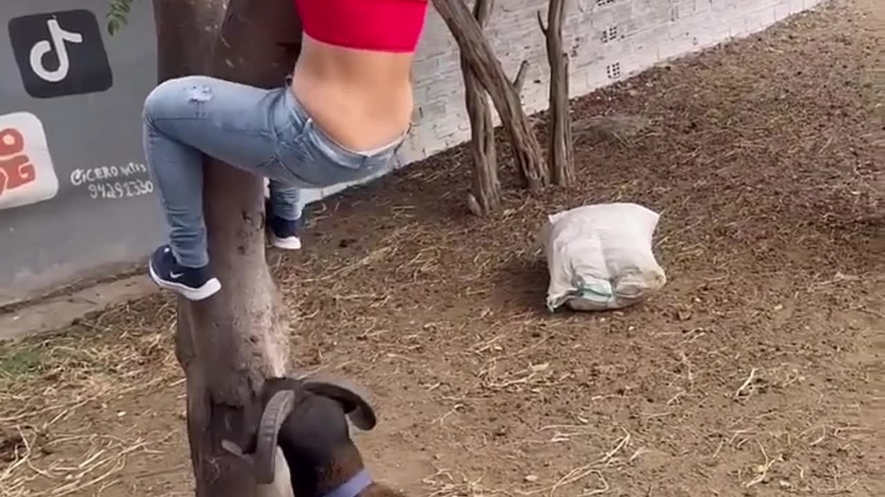 FUNNY MOMENT 😂😂😂😂😂😂😂😂😂😂😂😂