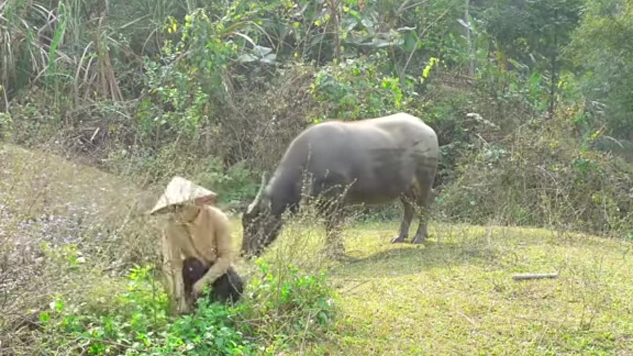 A hardworking village girl working