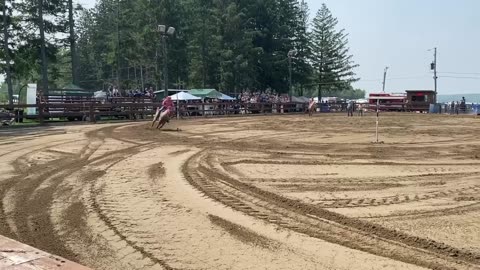 Gymkhana