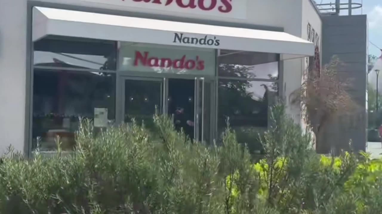 The most common jobs in the USA 🇺🇸💵