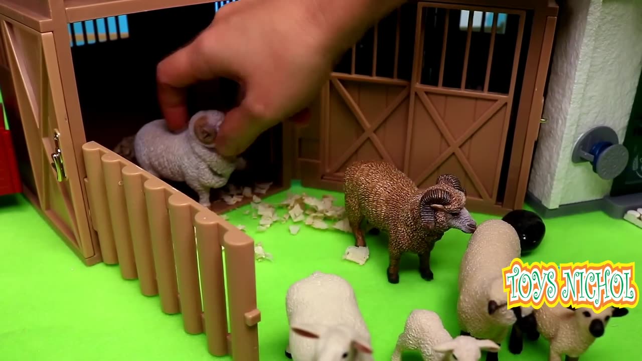 Five Sheep Playing with Five Pigs in the Water Hole