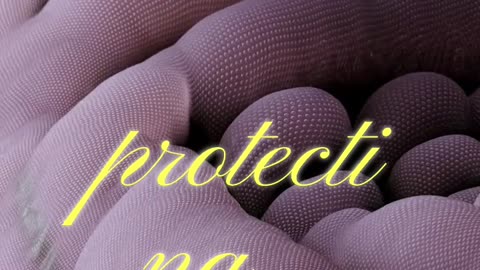 What is Self-Attribution Bias?