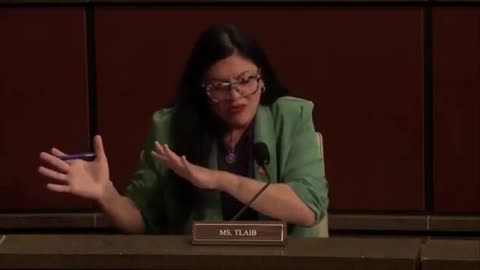 Byron Donalds Smacks Down Rashida Tlaib in Wild Committee Hearing