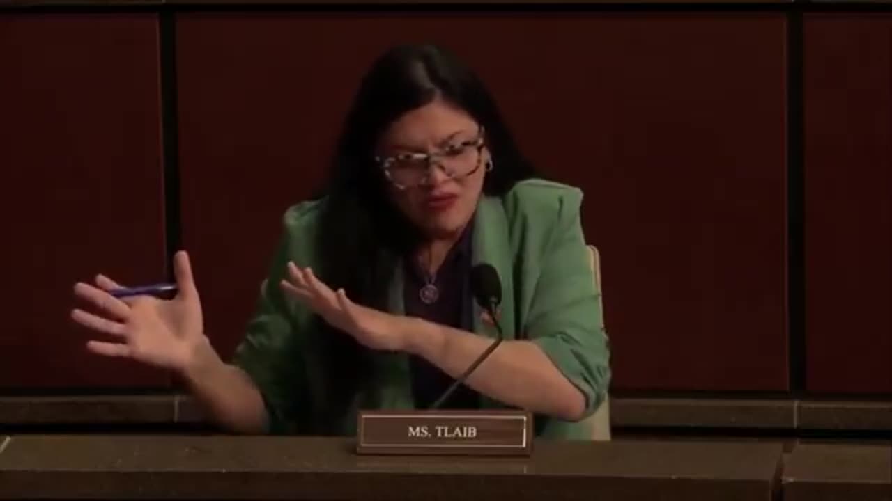 Byron Donalds Smacks Down Rashida Tlaib in Wild Committee Hearing