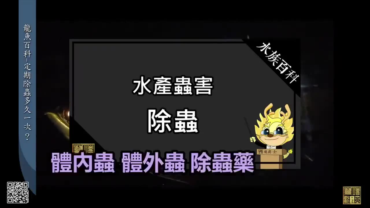【龍爵士】水族百科 定期除蟲 多久一次
