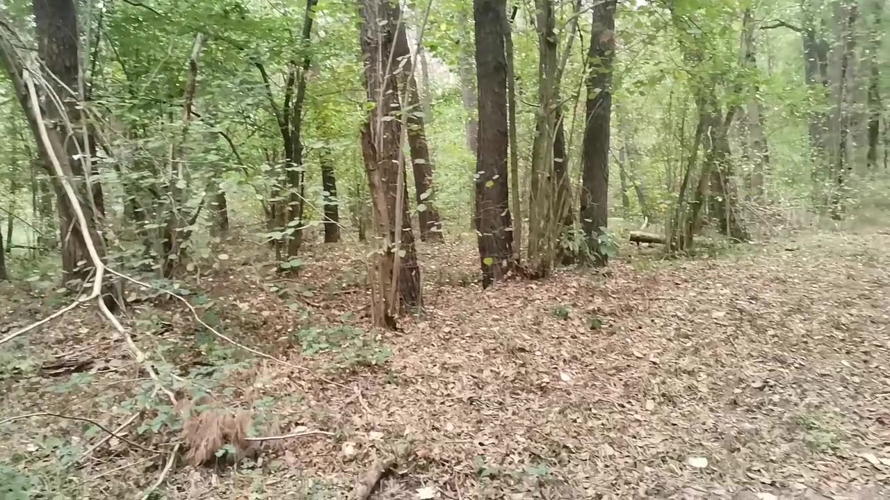 dotyka ...
